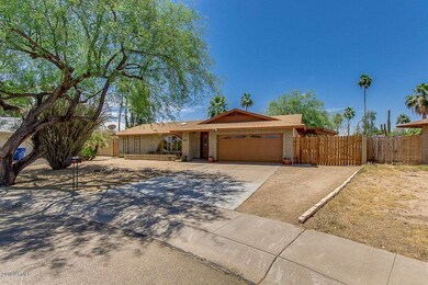 03-Sahuaro