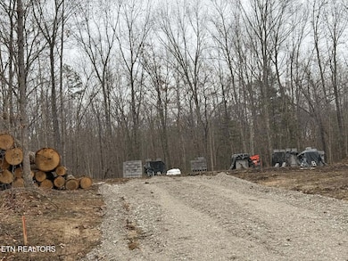 271 Georgee Rd, Jamestown, TN 38556 - photo 3