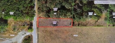 1251 N Maylen Ave, Lecanto, FL 34461 - photo 2