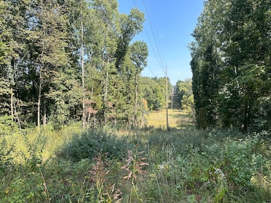 V/L U S 12, Edwardsburg, MI 49112 - photo 5