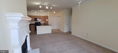 12900 Centre Park Cir unit 303, Herndon, VA 20171 - photo 7