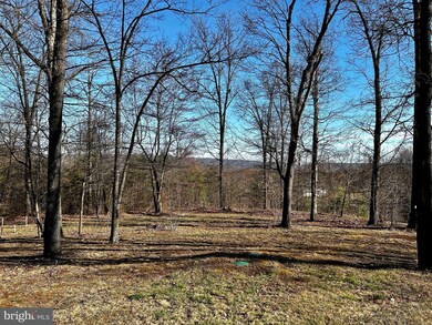 292 Alpenglow Way, Hedgesville, WV 25427 - photo 5