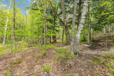 0 Phen Basin Rd, Waitsfield, VT 05673 - photo 3