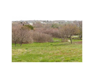Yard/Garden.