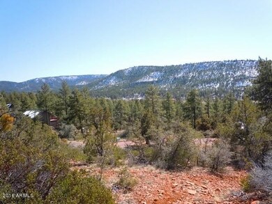 46 W Coyote Drive -- unit 46, Strawberry, AZ 85544 - photo 4