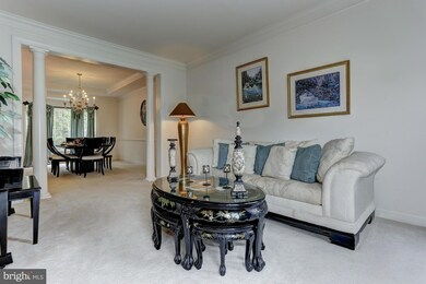 848 Queens Park Dr, Owings Mills, MD 21117 - photo 6