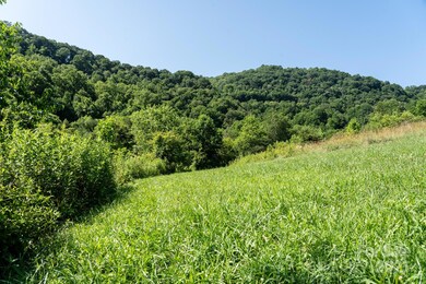 00 Shetley Rd, Iron Duff, NC 28785 - photo 6