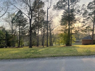 Small area of pond view