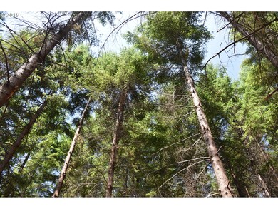 0 NW Meadow Lake Rd unit 19045317, Carlton, OR 97111 - photo 5