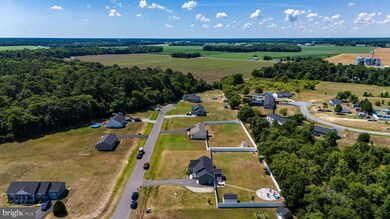 25332 N Legacy Ln, Laurel, DE 19956 - photo 4