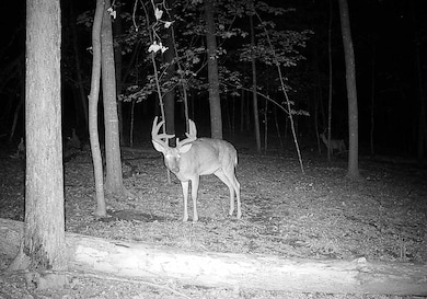 43167 Guthrie Rd, Clayton, WI 54631 - photo 7