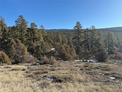 0 Unit 1 Tr-9b Ponderosa unit 202505335, Chama, NM 87520 - photo 5