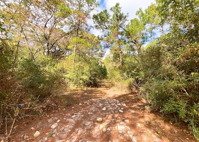 0 Frank Cloud Rd, Huntsville, TX 77320 - photo 4