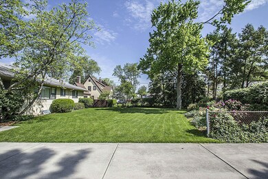 Rear Yard_1