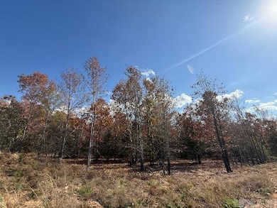 13 Summer Tyme Dr, Greenbrier, AR 72058 - photo 2