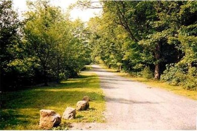 226 Shutesbury Rd, Amherst, MA 01002 - photo 2