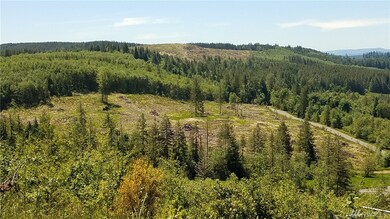 0 Dowling Rd unit 1137085, Toledo, WA 98591 - photo 4