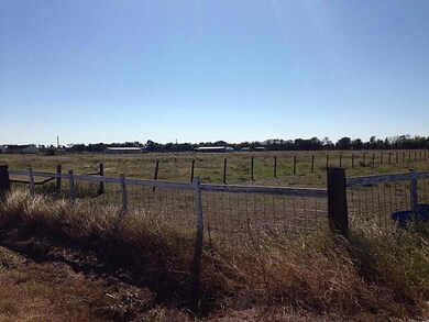 0 Padon Rd unit 17202342, Needville, TX - photo 4