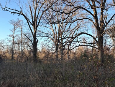 TBD Manatt Dr, Corning, AR 72422 - photo 4