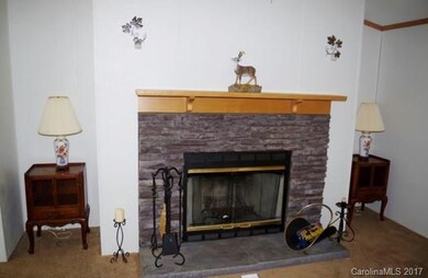 986 Roaring Fork Rd, Burnsville, NC 28714 - photo 5