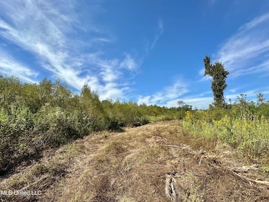 0 Highway 35 unit 4126739, Walnut Grove, MS 39189 - photo 7