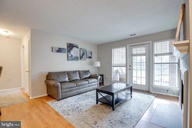 20950 Timber Ridge Terrace unit 202, Ashburn, VA 20147 - photo 4