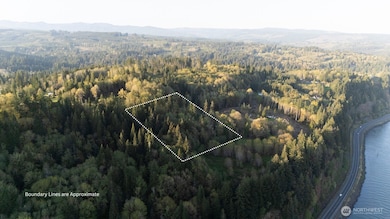 331 Cedar Hills Rd, Longview, WA 98632 - photo 6