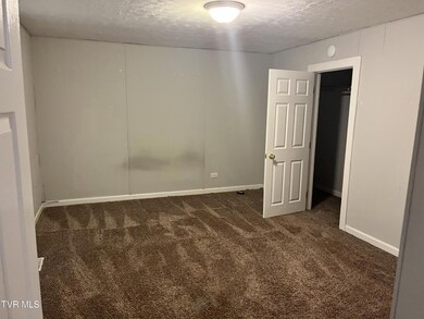 904 Afton St, Johnson City, TN 37601 - photo 5