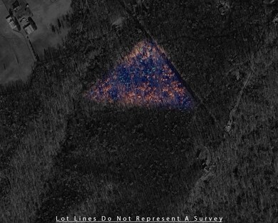 0 Tower Mountain Ln unit 666341, Mount Jackson, VA 22842 - photo 6