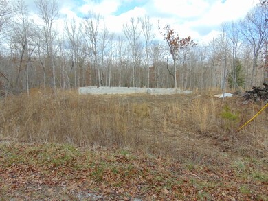 0 Wallace Way unit 993017, Grimsley, TN 38565 - photo 3