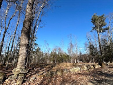 Lot 46-2 Dooe Rd unit 46-2, Dublin, NH 03444 - photo 6