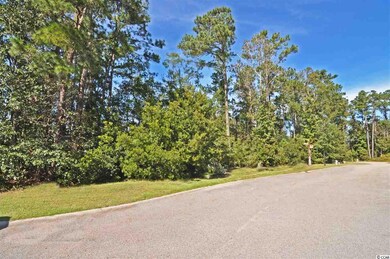 22 Lake Pointe Dr unit Reflection Pointe in, Murrells Inlet, SC 29576 - photo 4