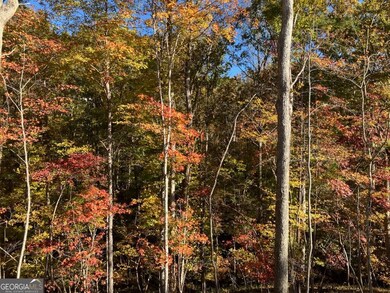 1415 Calhoun Rd, Dahlonega, GA 30533 - photo 7