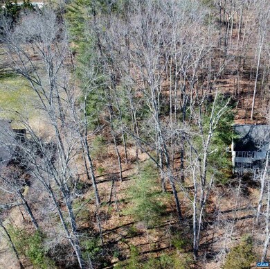 0 Lake Dr unit 627261, Ruckersville, VA 22968 - photo 4