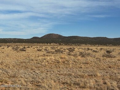 1270-D Along Way, Seligman, AZ 86337 - photo 6