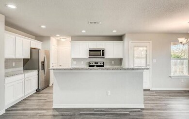 132 County Road 4869, Azle, TX 76020 - photo 4