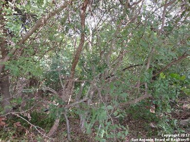 16817 Pescador, Helotes, TX 78023 - photo 2