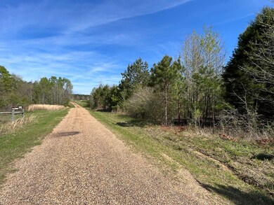 0 Katrina unit 138042, Brookhaven, MS 39601 - photo 2
