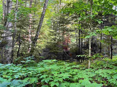 TBD Allen's Lakeview Rd Lots 863 864, Beaver Island, MI 49782 - photo 4