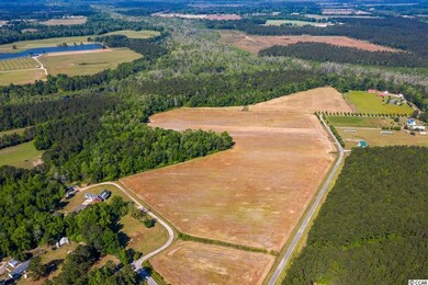 TBD Tj Sod Ln, Conway, SC 29527 - photo 4