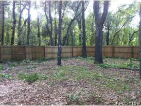 Back yard