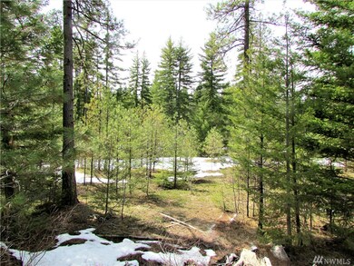 10370 Washington 903, Ronald, WA 98940 - photo 6