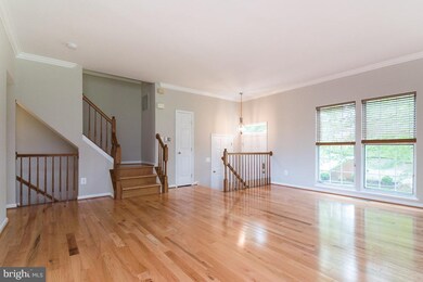 20329 Briarcliff Terrace, Sterling, VA 20165 - photo 4