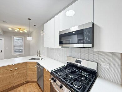 unlisted-address, Chicago, IL 60608 - photo 4