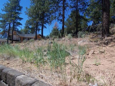 3145 NW Shevlin Meadow Dr unit 99, Bend, OR 97701 - photo 4