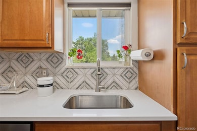 9769 Croke Dr, Denver, CO 80260 - photo 7