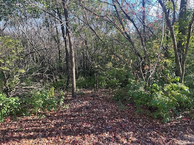 TBD 438th St, Harris, MN 55032 - photo 4