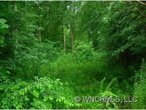 0 Benjamin Way unit 41, Hendersonville, NC 28792 - photo 3