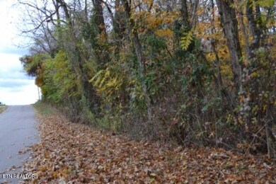 10.70ac Red Oak Ridge Rd, Celina, TN 38551 - photo 4