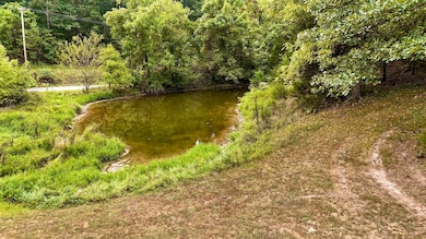 411 Lake Branch Rd, Clever, MO 65631 - photo 7